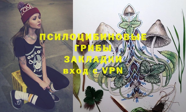твердый Аркадак