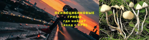 герыч Арсеньев