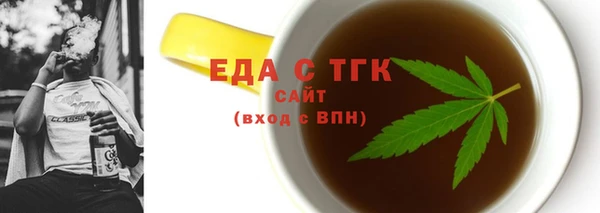 индика Алексин