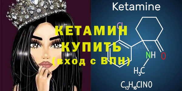 индика Алексин