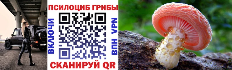 как найти наркотики  Лагань  Галлюциногенные грибы мухоморы 